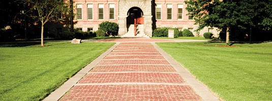 Grassy common area at a school