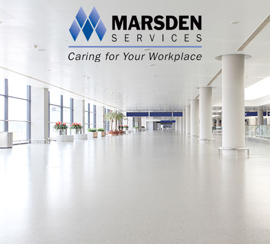 Étude de cas – Témoignage de réussite de démarrage – Marsden South